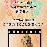 画像256
