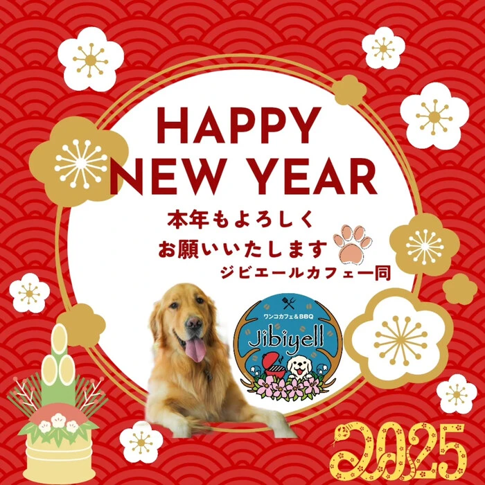 画像272
