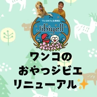 画像283