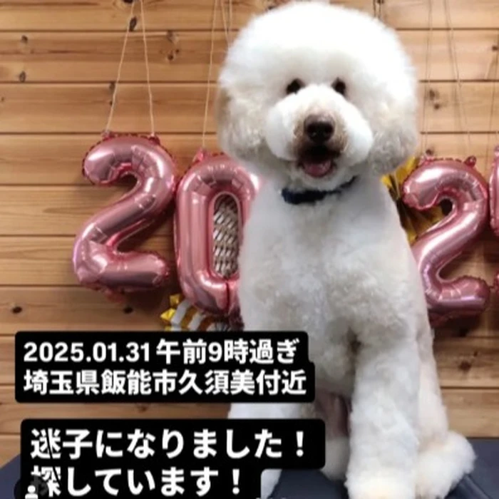 画像286