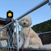 画像288