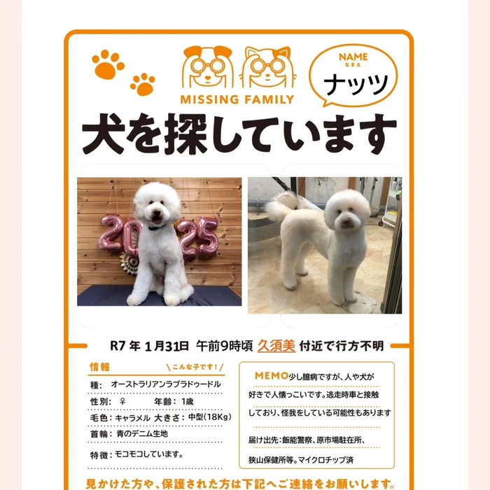 画像295