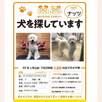 画像297