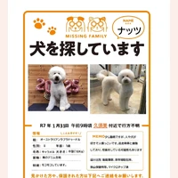 画像303