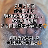画像315