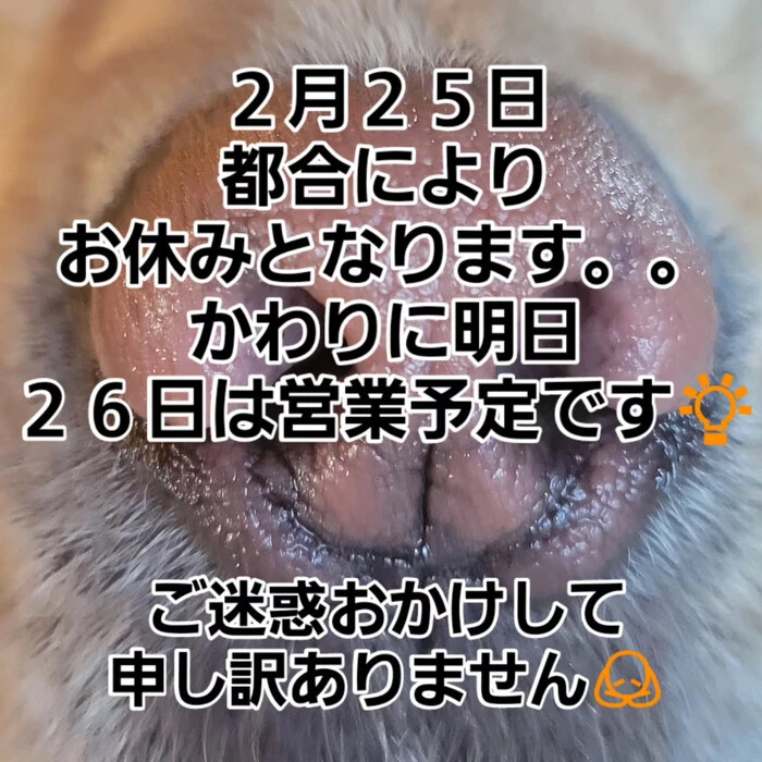 画像315