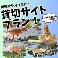 画像321