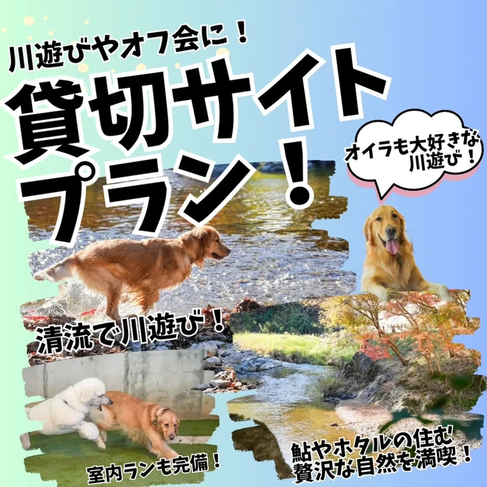 画像321
