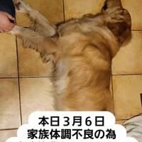 画像338