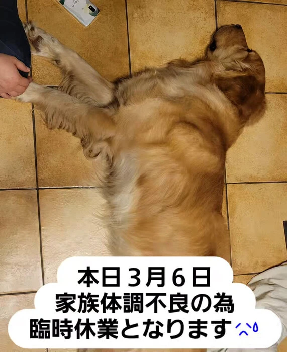 画像338