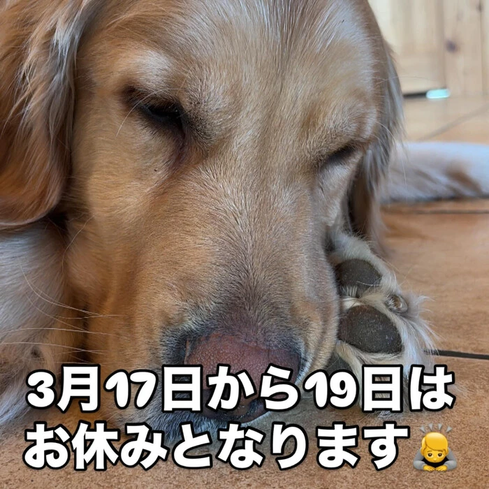 画像344