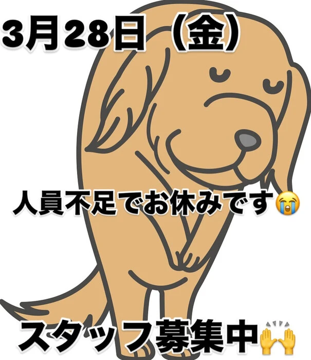 画像348